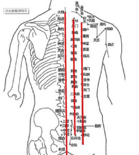 神奇的督脉灸 京东健康