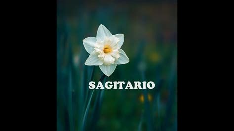 SAGITARIO TAROT FIN DE UNA ETAPA DIFICIL YouTube