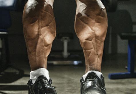 31 Bodybuilders Having Big Calves Body Building Craze