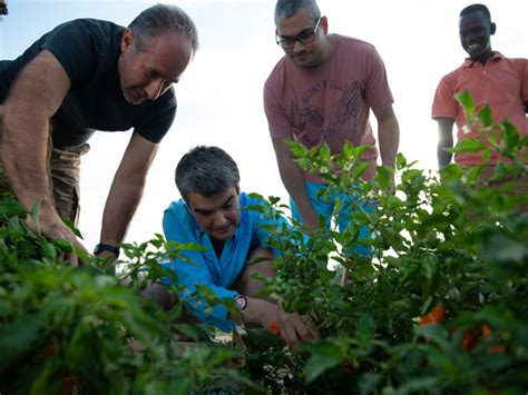 Agricoltura Sociale Alambicco