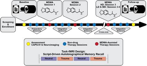 Frontiers Altered Brain Activity And Functional Connectivity After