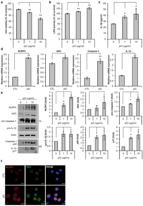 Polyinosinic Polycytidylic Acid Poly I C Induces Pyroptosis And