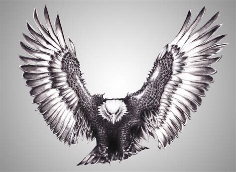 Eagle Tattoo Drawing