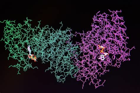 Premium Photo | Structure of the protein molecule