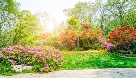 Inspiratie Opdoen Voor Het Ontwerpen Van Je Tuin Handige Tips In