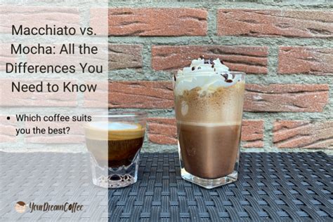 Macchiato Vs Mocha All The Differences You Need To Know