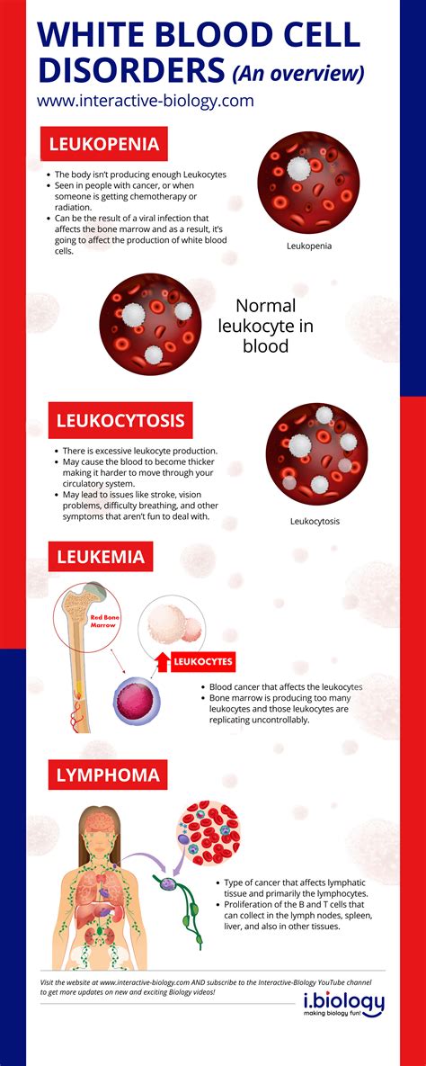 Disorders of Leukocytes/White Blood Cells - An Overview | Interactive ...