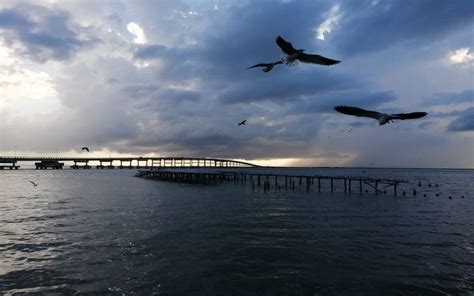 Qué hacer en Laguna de Términos México Ruta Mágica