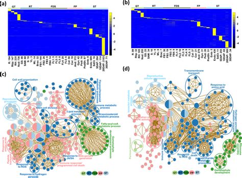 Tissue Specificity And Comparative Gene Ontology Go Enrichment Map