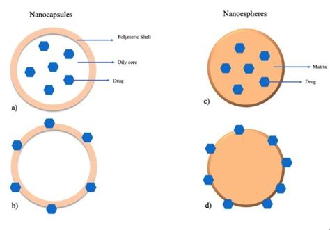 Schematic Representation Of The Different Polymeric Nps A C