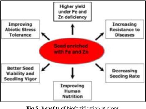 Table 2 From Biofortification Of Cereal Crops An Emerging Strategy To