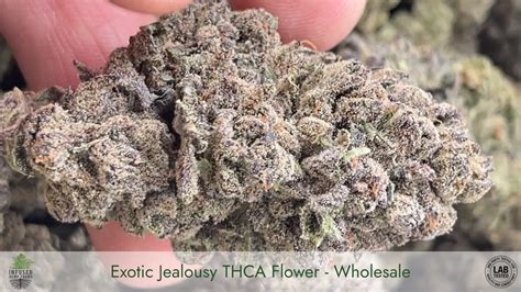 Jealousy Thca Flower Exotic Cultivar Oz Best Of