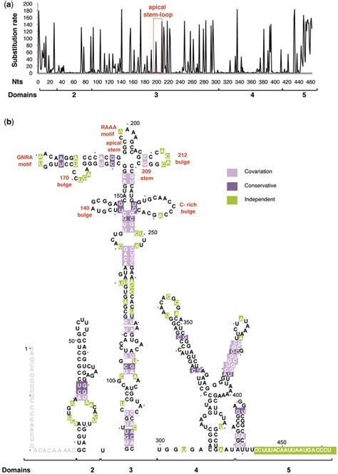 Sequence Variability Of The Ires Element In Fmdv Rna A The Total