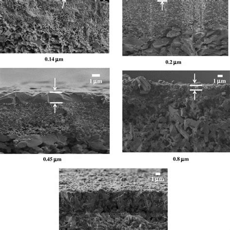 Pdf Synthesis And Characterization Of Silicalite 1 Membrane Prepared