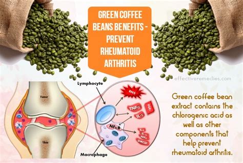 19 Science-Based Green Coffee Beans Benefits, Uses & Side Effects