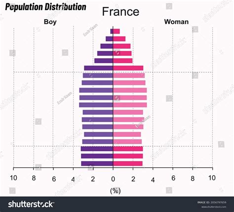 Population Distribution Male Female Population Pyramid Stock Vector Royalty Free 2056797659