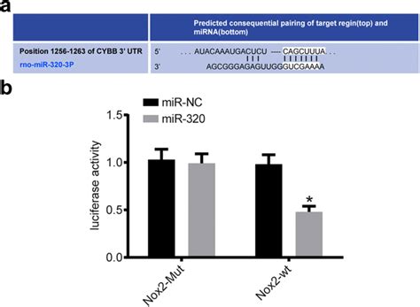 Bioinformatics prediction and dual-luciferase reporter assay results. a ... 