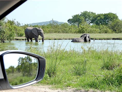 Letaba Rest Camp Updated 2023 Hotel Reviews Kruger National Park