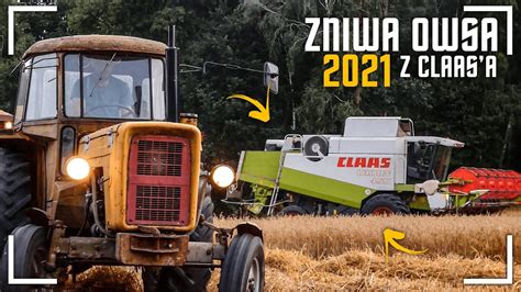 Żniwa Owsa 2021 z CLAAS Ą Lexion buszuje na poluJeleń i Ursus w