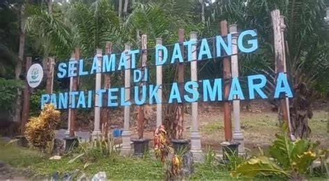 Pantai Teluk Asmara Dengan Keindahan Alamnya Yang Memukau Satupena Co Id