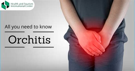 Orchitis What Are The Symptoms Of Inflammation Of Testicles Hti Centers Medical Tourism