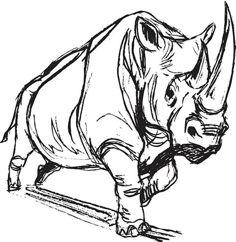 Charging Rhino Illustrations Royalty Free Vector Graphics And Clip Art