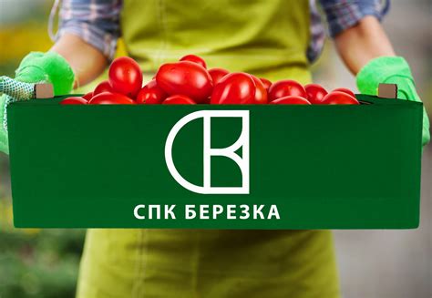 Berezka on Behance