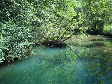 Réserve Naturelle Nationale du Bout du Lac dAnnecy à Doussard IDT