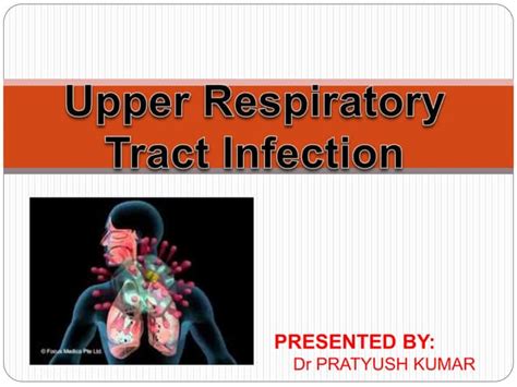 Urti | PPT