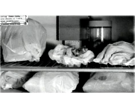 You Won't Believe What Was Found in Jeffrey Dahmer's Crime Scene Photos - tnomzof
