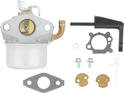 Amazon Panari Carburetor Compatible With Intek Briggs