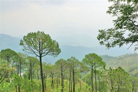 Hill Station Kasauli Himachal Pradesh