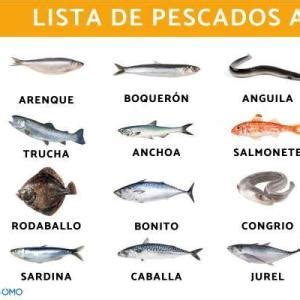 Cu Les Son Los Pescados Azules Trivias Juego Educativo Oficios