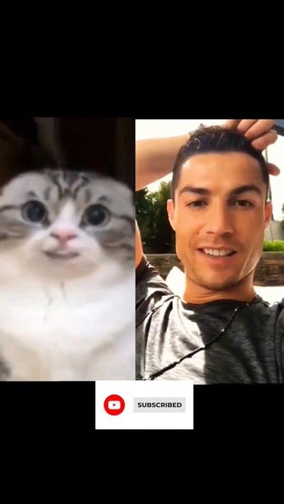 Cristiano Ronaldo Reacts A Cat Shorts Video Dailymotion