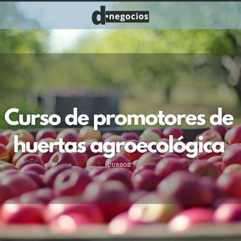 Curso De Promotores De Huertas Agroecol Gica