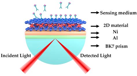 Sensors Free Full Text Sensitivity Enhancement Of 2D Material Based