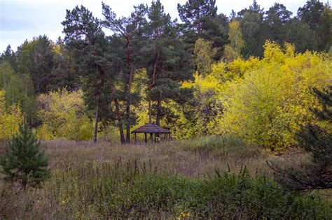 Autumn Fields Forest Free Photo On Pixabay Pixabay