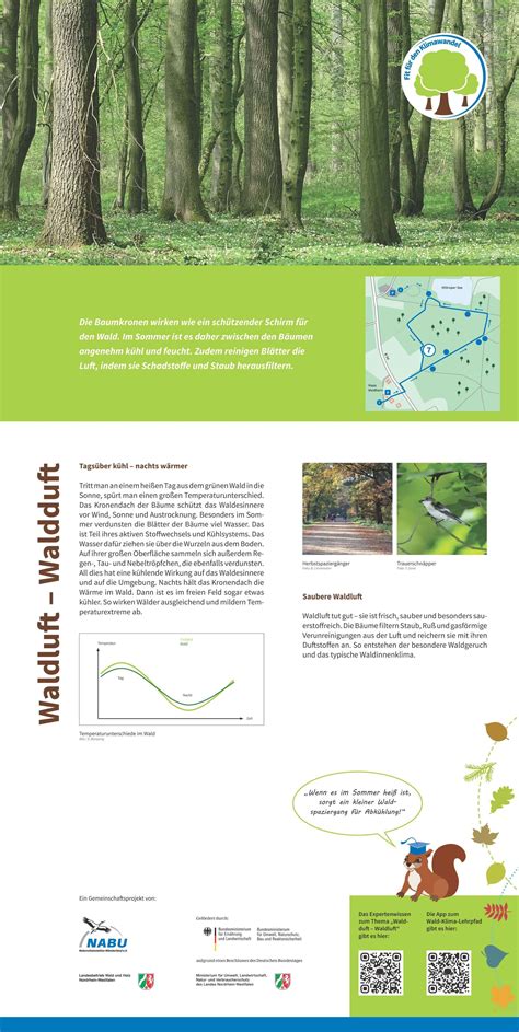 Waldluft Waldduft Fit für den Klimawandel