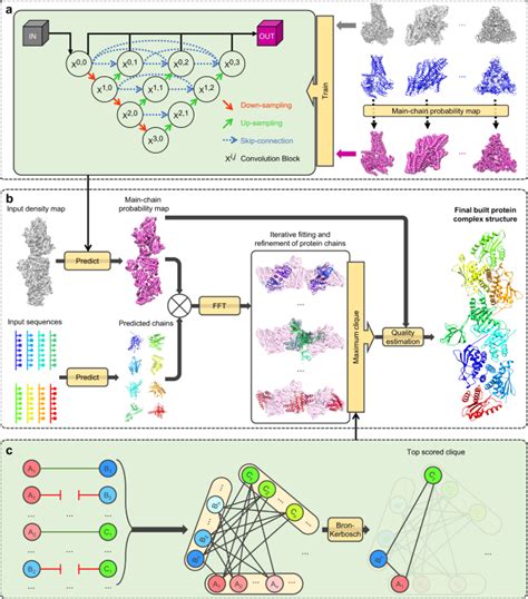 Model Building Of Protein Complexes From Intermediate Resolution Cryo