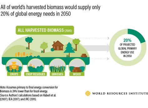 This Is How To Sustainably Feed 10 Billion People By 2050 World Economic Forum