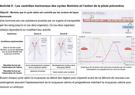 Devoir Maison La Puberté Et Les Hormones Correction 4ème Svt