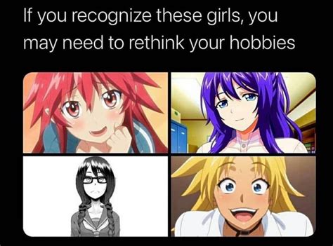 Dont Lie You Know At Least One Of These Girls Anime Memes Anime