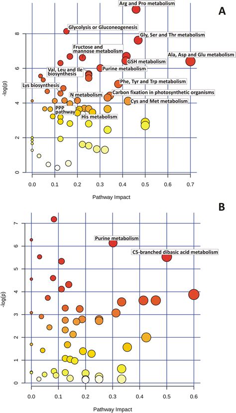 Metabolomic Pathway Analysis Metpa As Generated By Metaboanalyst Download Scientific Diagram