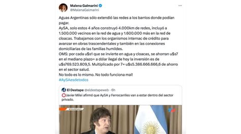 Galmarini Le Respondi A Milei Por La Privatizaci N De Aysa Perfil