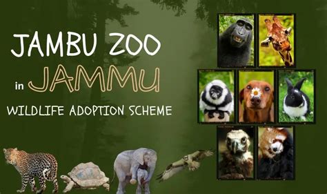 Jambu Zoo Adoption Scheme Wildlife Protection