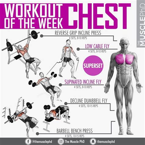 Chest Workout 40 Minutes Complete With 6 Exercises With Images