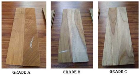 Distinguishing The Teak Wood Quality Based On Its Grade Teakindo