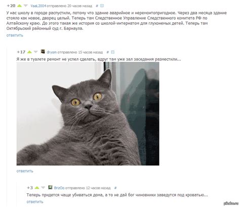 Приватизация имущества | Пикабу