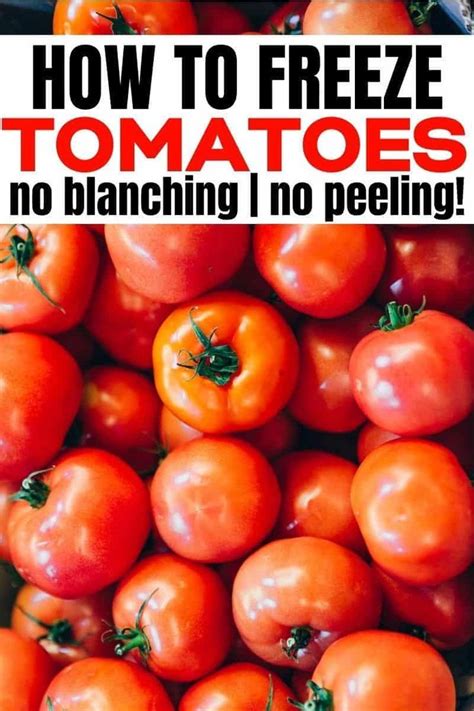 How To Freeze Tomatoes No Blanching And No Peeling Needed Recipe Freezing Tomatoes Tomato