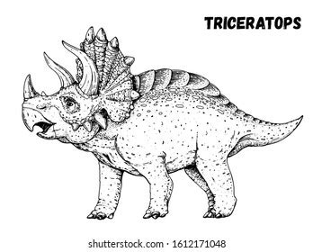 Triceratops Dinosaur Hand Drawn Sketch Vector Stock Vector (Royalty Free) 1612171048 | Shutterstock